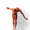 fix0x.gif (4342 octets)
