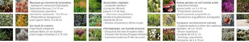 JardinsFrance20