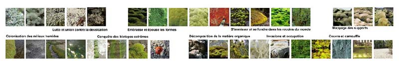 JardinsFrance21