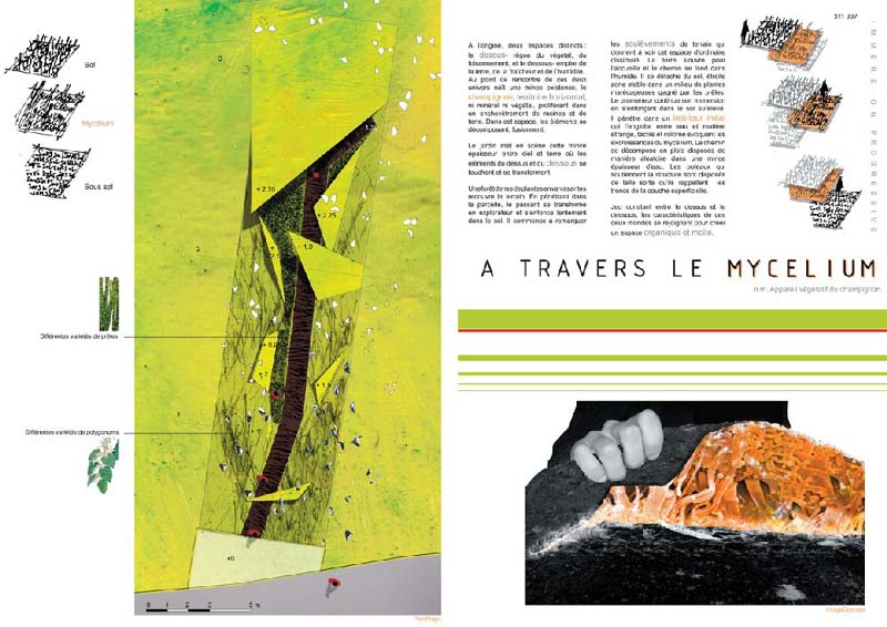 JardinsFrance49