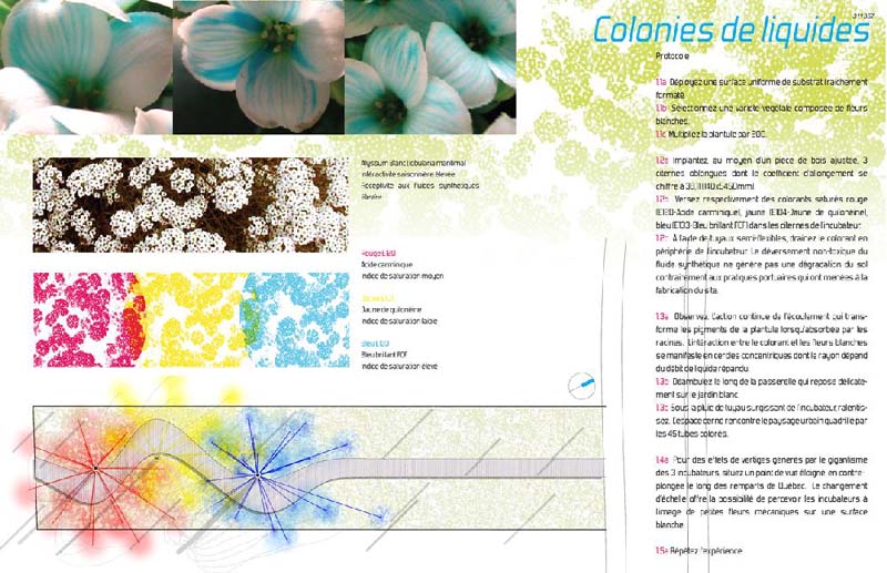 JardinsR2B17